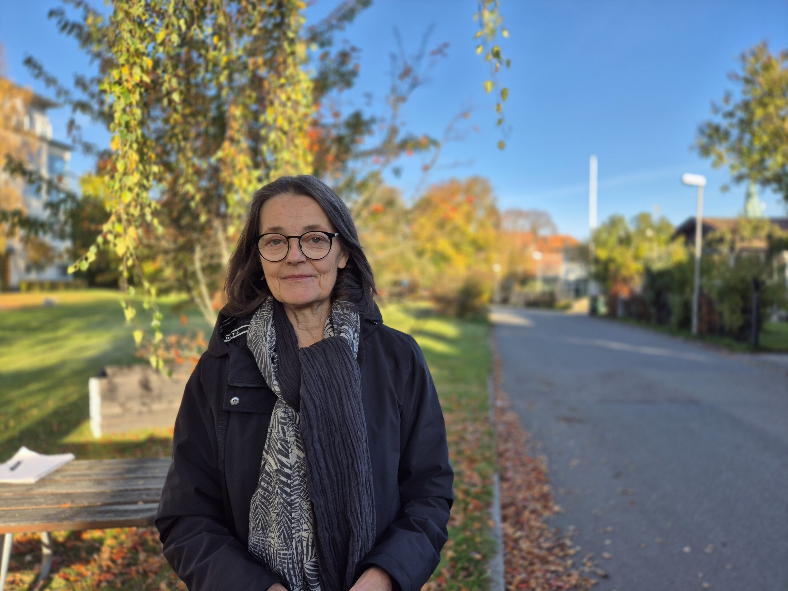 Eva Frånlund Åsgatan